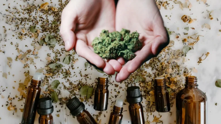 14 Top Terpenes in Cannabis and Essential Oils