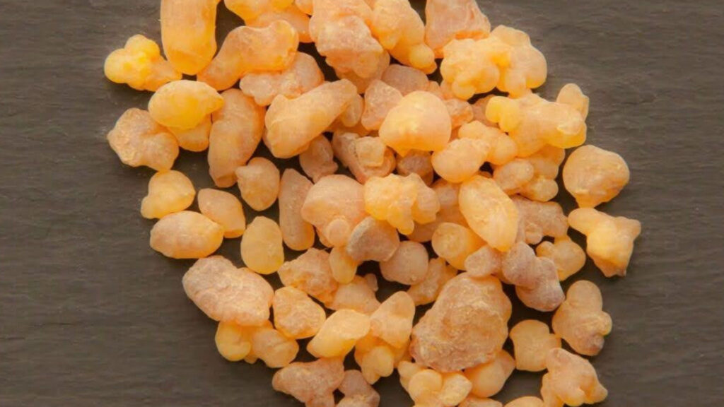 Frankincense Sacra resin containing Delta-3-Carene terpene