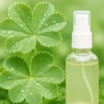 A bottle of CBD toner next to a Lady's Mantle herb.