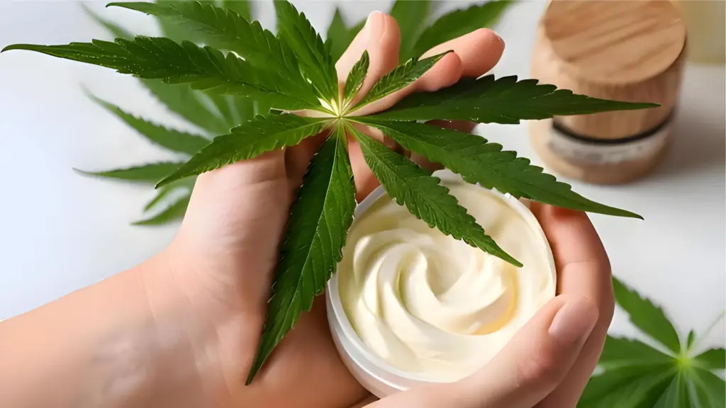Hands holding a pot of Cannabis-Infused Mango Shea Body Butter with a fresh cannabis leaf alongside.