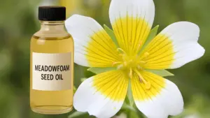 A bottle of Meadowfoam Seed Oil with the flower that the seeds come from.