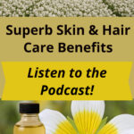A field of meadowfoam seed flowers and a bottle of meadowfoam seed oil.
