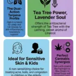 An infographic showing the benefits of rosalina essential oil.