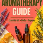 Bright coral and yellow graphic reading “The Practical Aromatherapy Guide: Essential Oils, Herbs, Terpenes”, surrounded by lavender, rosemary, orange peel, dried flowers, green leaves, oil and amber dropper bottles, with 420formulator.com at the bottom.