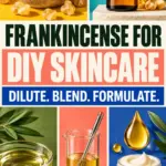 Modernist bento-box Pinterest poster with colourful compartments containing frankincense resin, an amber essential oil bottle, carrier oil, a beaker and whisk, a cream pot and golden oil drops. Text reads Frankincense for DIY Skincare, Dilute. Blend. Formulate. and 420formulator.com.